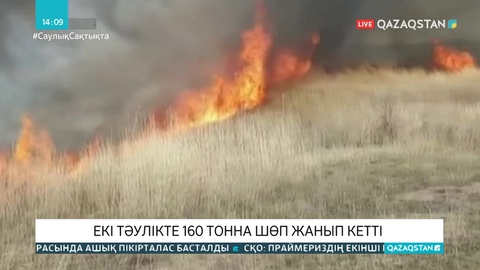 Қарағанды облысында 160 тонна шөп жанып кетті