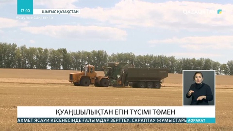 Шығыс Қазақстанда қуаңшылықтан егін түсімі төмен