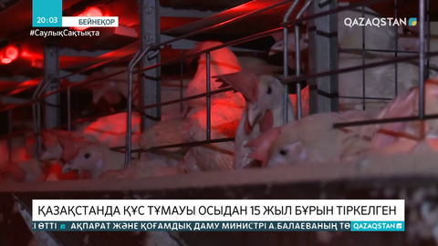 Қазақстанда құс тұмауы осыдан 15 жыл бұрын тіркелген