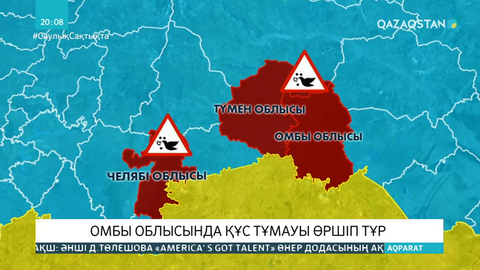 Ресейдің Омбы облысында құс тұмауы өршіп тұр