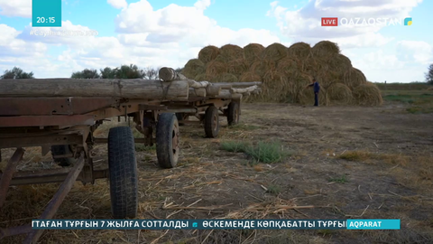 Орал өңірінде қуаңшылыққа байланысты шөп бағасы шарықтап тұр