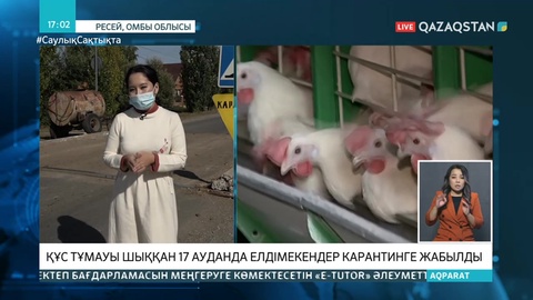 Ресейдің Омбы облысында құс тұмауы шыққан елді мекендер карантинге жабылды