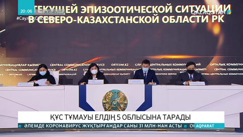 Құс тұмауы: Шығынға батқан шаруа иелеріне өтемақы төлеу үшін мемлекеттен 400 миллион теңге бөлінді