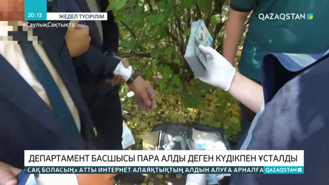 Шығыс Қазақстанда департамент басшысы пара алды деген күдікпен ұсталды