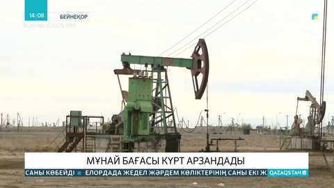 Мұнай бағасы күрт арзандады