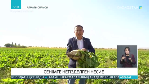 Алматы облысында «Егістіктен сөреге дейін» жобасы қолға алынды