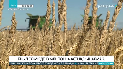 8 млн тонна астық Орталық Азия елдері мен Ауғанстан және Қытайға экспортталады