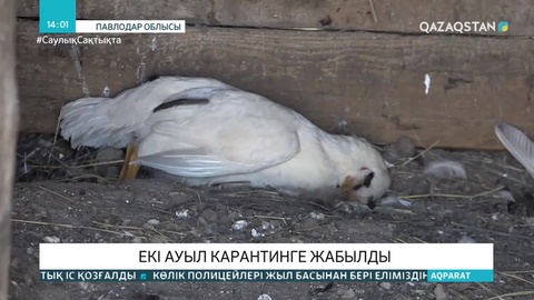 Павлодар облысында 2 ауыл карантинге жабылды