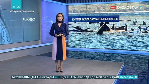 Австралияда 400-ден астам кит жағаға шығып қалды