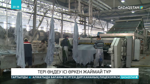 Елде тері өңдеу ісі дамымай жатыр