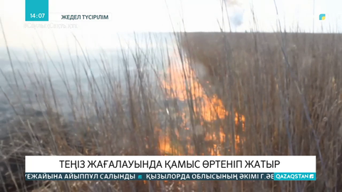 Каспий теңізінің жағалауындағы қамыс өртеніп жатыр