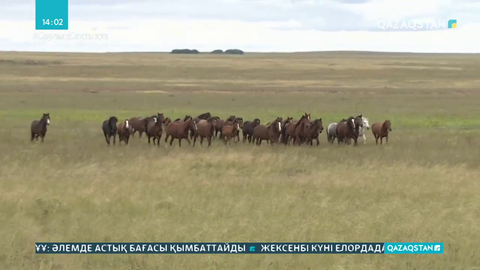 2021 жылы Жер кодексіне өзгерістер енгізіледі