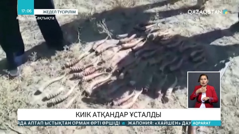 Ақтөбеде киік атқандар ұсталды