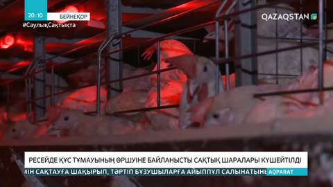 Ресейде құс тұмауының өршуіне байланысты сақтық шаралары күшейтілді