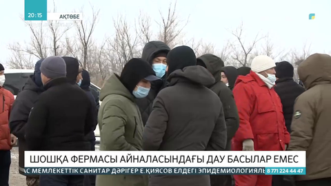 Ақтөбе облысында шошқа фермасы айналасындағы дау басылар емес
