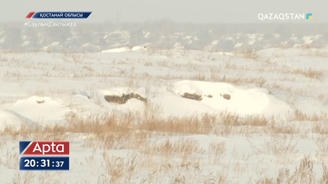 Қостанай облысы: Cібір жарасы анықталған жерде құм өндіретін карьер ашылмақ
