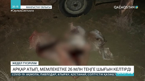 Маңғыстауда арқар атқандар мемлекетке 26 млн теңге шығын келтірді