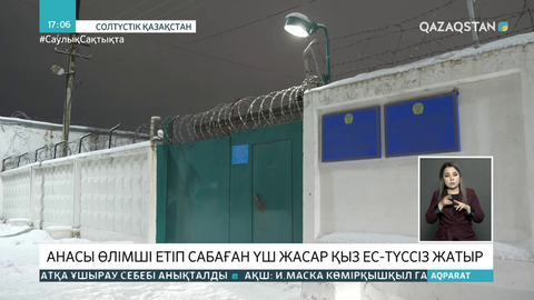 Петропавлда 3 жасар қызын өлімші етіп сабаған әйел қамауға алынды