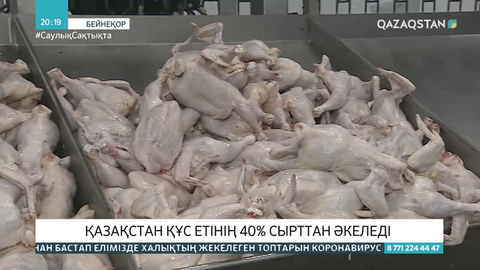 Қазақстан құс етінің 40% сырттан әкеледі