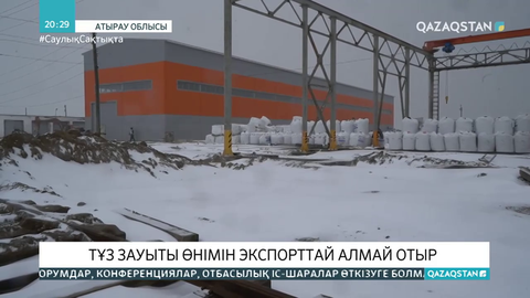 Атырау облысындағы тұз зауыты өнімін экспорттай алмай отыр