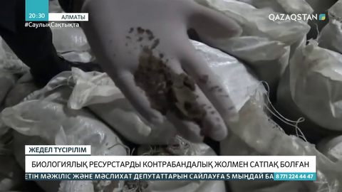 Алматыда биологиялық ресурстарды контрабандалық жолмен сатпақ болғандар ұсталды