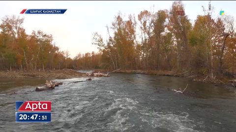 Шығыс Қазақстанда бірнеше ауыл 2-3 жылдан бері алтын шайылған лас суды тұтынып отыр
