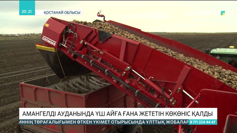 Қостанай облысының Аманкелді ауданында үш айға жететін ғана көкөніс қалды