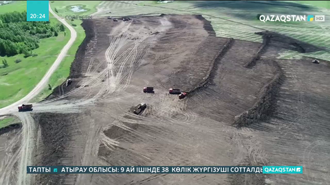 Айыртау ауданында 48 гектар алқаптың ағашы кесіледі