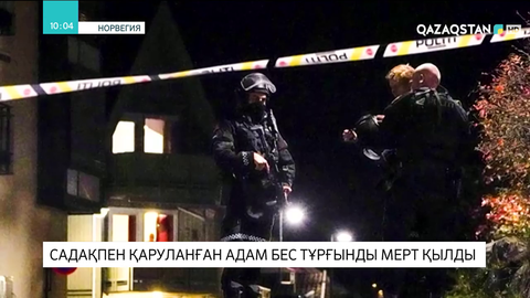 Норвегияда садақпен қаруланған адам бес тұрғынды мерт қылды