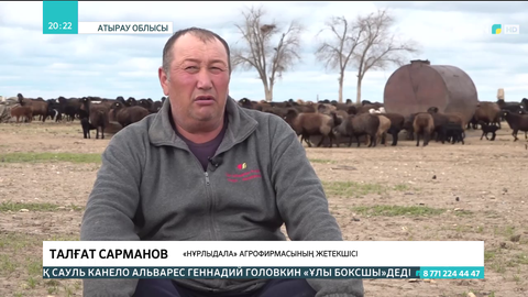 Атыраулық шаруалар төрт түлікке су таппай қиналып отыр