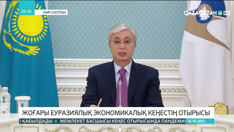 Президент Жоғары еуразиялық экономикалық кеңестің отырысына қатысты