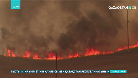 Калифорния штатында «Алисал» өрті 7 мың гектарға жуық аумақты шарпыды