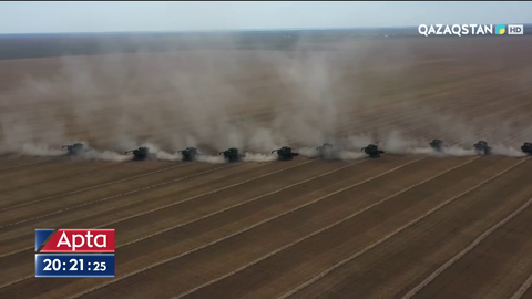 Шаруалар астықты неге экспорттай алмай жатыр