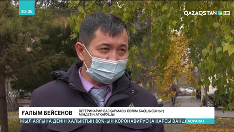 Павлодар облысында қара малдан белгісіз ауру анықталды