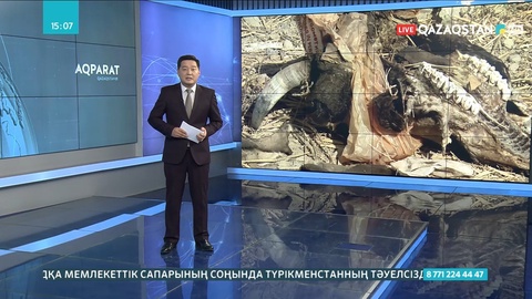 Түркістан облысында 200-ден астам заңсыз қоқыс алаңы бар