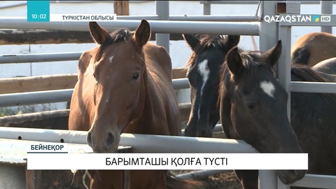 Түркістан облысында барымташы қолға түсті