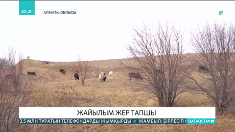 Алматы облысы Қайнарлы ауылының тұрғындары жайылым жерден тарығып отыр