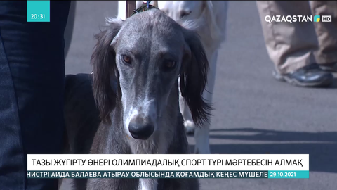Тазы жүгірту өнері олимпиадалық спорт түрі мәртебесін алмақ