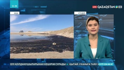 Тынық мұхитына 3 мың баррельден астам мұнай төгілді