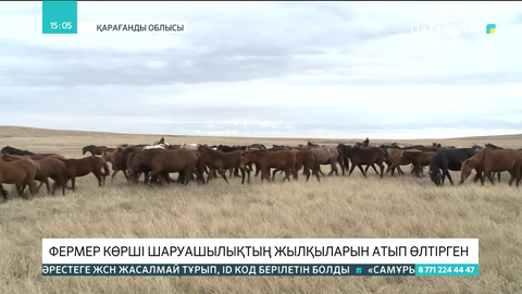 Қарағанды облысында фермер көрші шаруашылықтың жылқыларын атып өлтірген