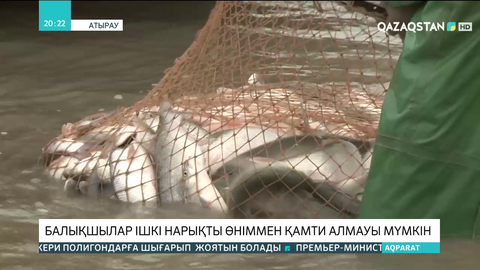 Атырау облысында құрма тормен теңізде балық аулауға тыйым салынды
