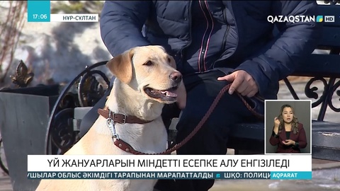 Үй жануарларын міндетті есепке алу енгізіледі
