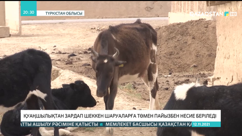 Қуаңшылықтан зардап шеккен шаруаларға төмен пайызбен несие беріледі