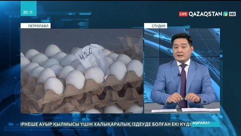 Солтүстік Қазақстанда жұмыртқа бағасын қымбаттатқан кәсіпкерлерге қатысты тергеу басталды