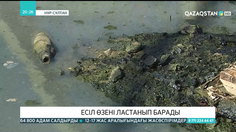 Есіл өзені ластанып барады - Экологтар