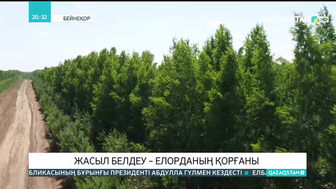 Президент 2025 жылға дейін 2 млрд ағаш отырғызуды тапсырды