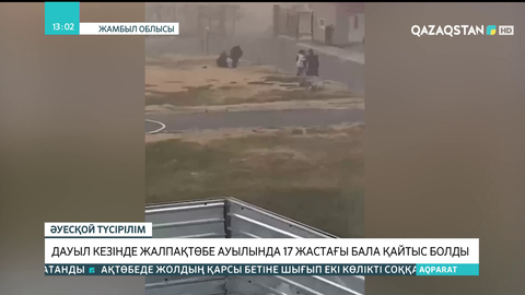 Жамбыл облысында дауыл кезінде 17 жастағы бала қайтыс болды