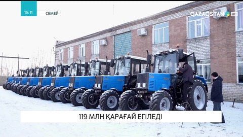 Семейде 119 миллион қарағай көшеті егіледі