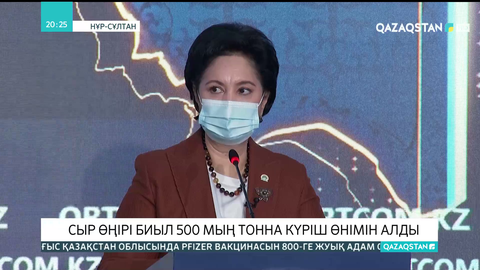 Сыр өңірі биыл 500 мың тонна күріш өнімін алды