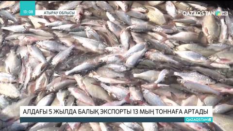 Атырау облысында алдағы 5 жылда балық экспорты 13 мың тоннаға артады